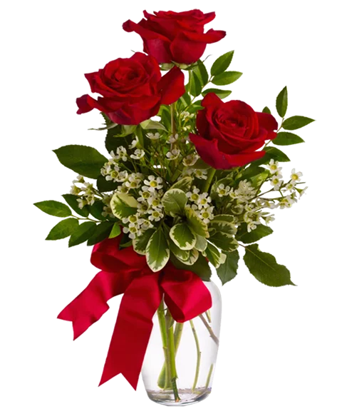 3 rose rosse